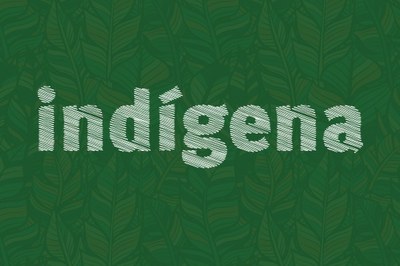 Imagem com fundo verde escuro onde se lê, na parte central, a para Indígena na cor branca