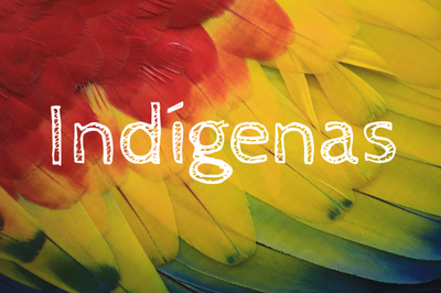 #pracegover foto mostra imagem de penas coloridas ao fundo, à frente a palavra indígenas está escrita em branco