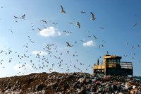 Moradores da Ilha Redonda são afetados pelo descarte de lixo desde 1997. Valor de R$ 1,5 milhão deve ser investido em políticas públicas em benefício dos moradores