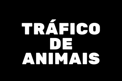 #Pracegover A imagem mostra as palavras "tráfico de animais" em cores brancas sobre um fundo preto