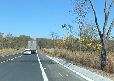 #PraCegoVer Imagem mostra trecho de uma rodovia asfaltada, na qual se vê um caminhão e um carro sedã na cor branca indo no mesmo sentido de quem tirou a foto. Vegetação ao redor da estrada está seca.