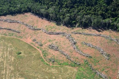 Foto aérea de área com floresta ao lado de área desmatada.