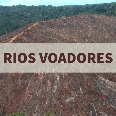 Rios Voadores: integrante do grupo que mais desmatou a Amazônia é impedido de assumir chefia no Ibama
