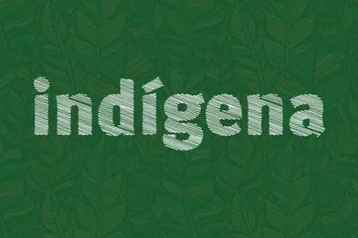 Arte retangular com a palavra "indígena" escrita em fundo verde com textura de folhas. 