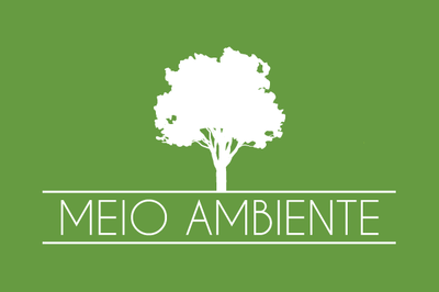 Arte traz, na cor branca, a palavra Meio Ambiente e o desenho de uma árvore sobre fundo verde claro