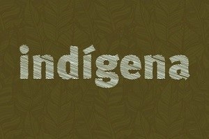 Arte com fundo na cor verde musgo e desenhos indígenas tem escrito a palavra indígena na cor branca
