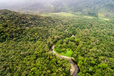 Foto aérea da floresta amazônica.