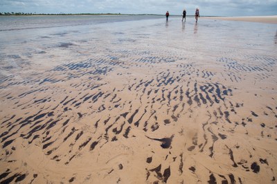 Ilha dos Namorados, em Sergipe. Areia coberta de pequenas manchas de óleo.