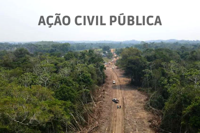 #paratodosverem foto de uma estrada aberta em meio à floresta amazônica, com a frase ação civil pública