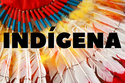 #pratodosverem imagem de um cocar multicolorido com o escrito "indígena"em letras pretas