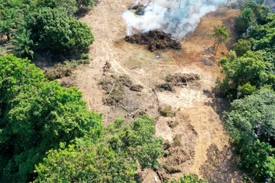 #ParaTodosVerem. Imagem aérea de área florestal desmatada. No canto superior direito há foco de incêndio florestal. A foto é da Canva.
