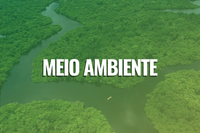 #ParaTodosVerem. Fotografia aérea de área florestal na Amazônia, com sobre posição transparente na cor verde. No centro da imagem, estão as palavras "Meio ambiente" na cor branca.