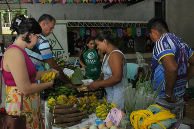 #PraTodosVerem: Imagem mostra várias pessoas em um feira da Rema. É possível ver frutas e pessoas circulando no local.