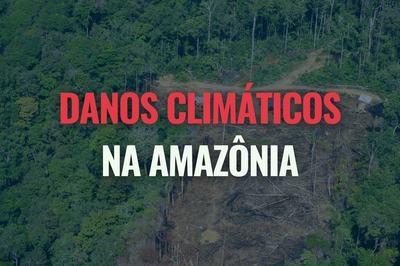 Ao fundo, sob um filtro azul marinho transparente, imagem aérea de uma porção de floresta amazônica com clareira de desmatamento aberta ao centro, com duas pequenas casas de madeira construídas na área desmatada. Em primeiro plano, está escrito "Danos climáticos" em vermelho e, abaixo, "na Amazônia", em verde bem claro, ao centro da imagem.