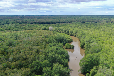 Foto aérea de região de mata verde cortada por um rio 