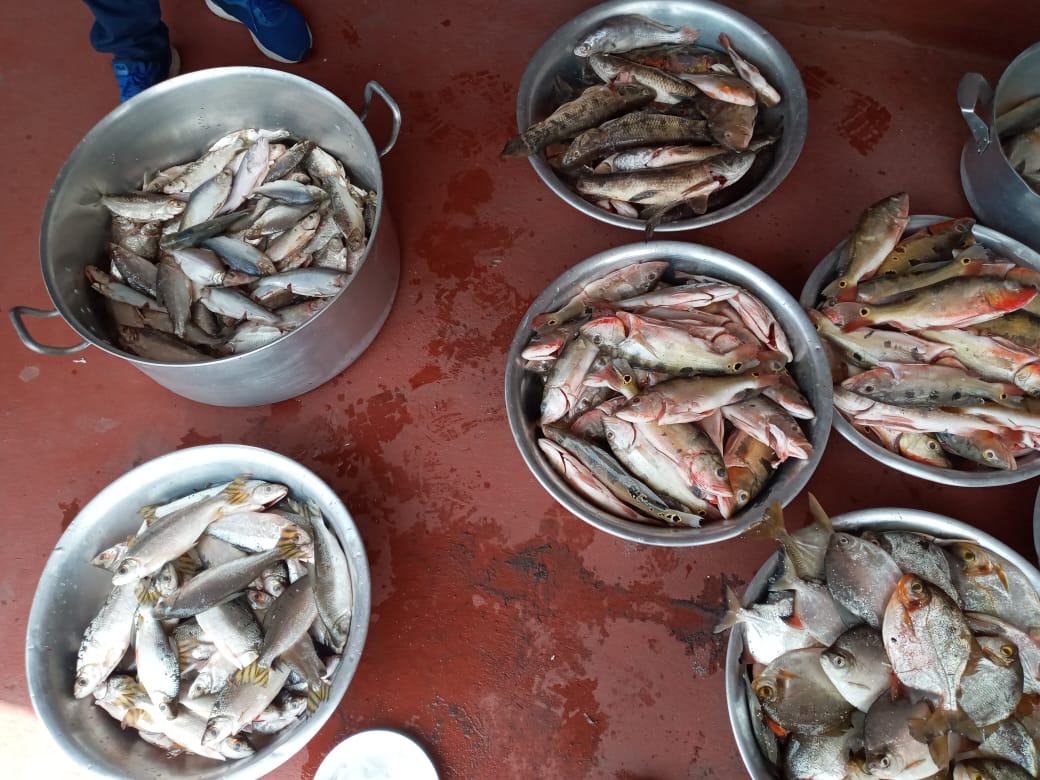 Manaus_1.JPG