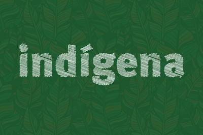 Ilustração com fundo verde, sobre o qual está escrita a expressão "indígena"
