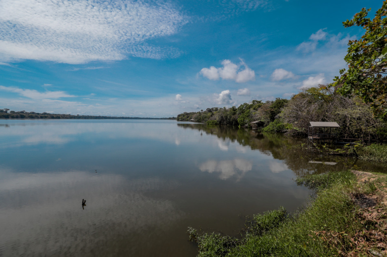 Foto: Leandro Morais/Prefeitura de Porto Velho