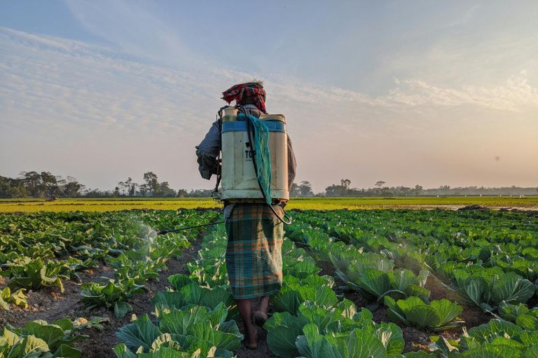 Foto ilustrativa: Canva