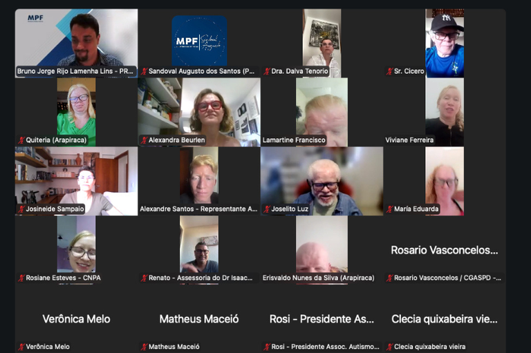 Print de tela da reunião online