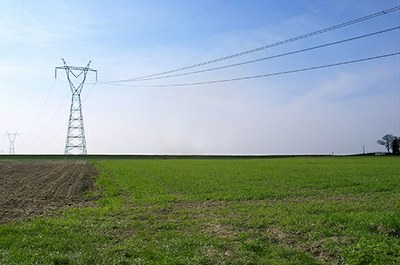 Foto mostra uma torre/linha de transmissão de energia elétrica sobre uma plantação.