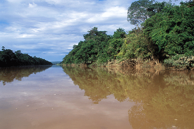 #PraCegoVer Foto de um rio com muitas árvores em ambas as suas margens.