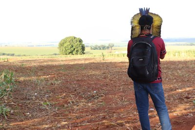 A foto mostra, em primeiro plano, um indígena de costas utilizando mochila e cocar. À frente dele, uma grande extensão de terra com plantação de milho e árvores ao longe.