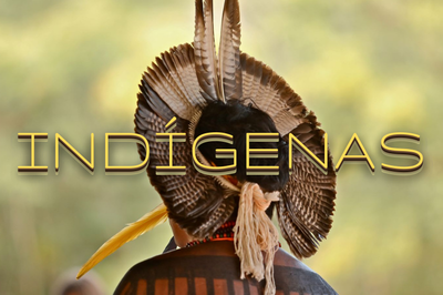 #Pracegover Foto de um indígena de costas, usando um cocar de penas. Em amarelo está escrito Indígenas 