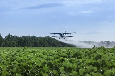 Foto ilustrativa de avião realizando pulverização sobre plantação