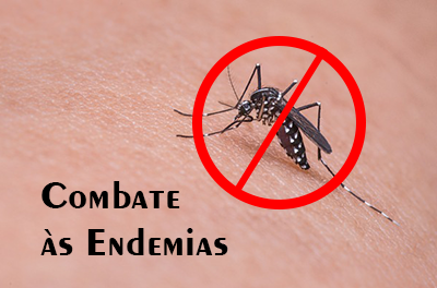Imagem de um mosquito riscado em vermelho, com a expressão 'Combate às endemias'