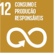 Consumo e produção responsáveis