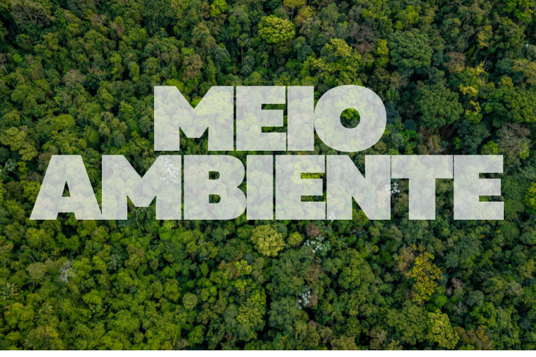 Foto de uma área de floresta, com as palavras meio ambiente semi transparentes.
