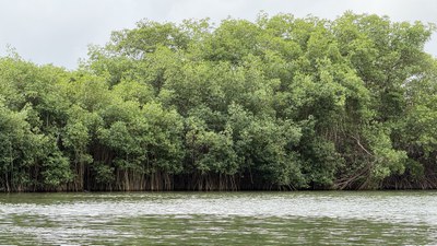 IMG_1337.jpg