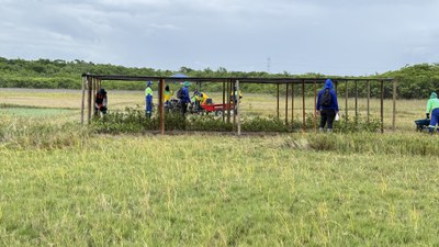 IMG_1367.jpg