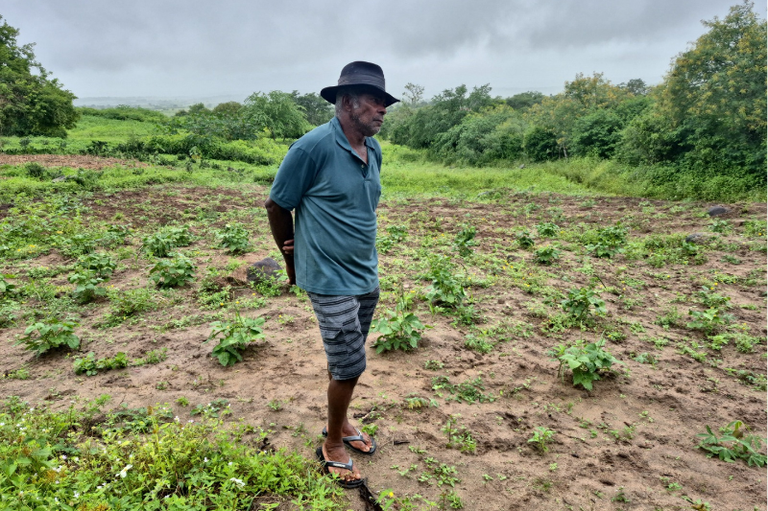 Homem idoso posando para foto em meio a vegetação. Ele esta na lateral e seu corpo é visível dos pés a cabeça. Suas mãos estão para trás e ele parece pensativo.