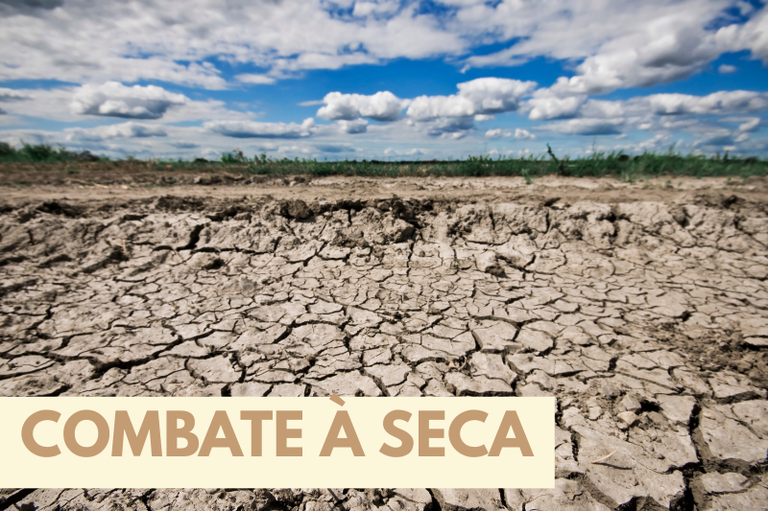 Imagem de solo rachado e seco, típico de regiões com forte estiagem, ocupando a maior parte da cena. Ao fundo, há uma linha estreita de vegetação verde sob um céu azul com muitas nuvens brancas. Na parte inferior, uma faixa bege contém o texto em letras maiúsculas: “COMBATE À SECA”.