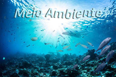 Imagem ilustrativa do fundo do mar transparente com peixes nadando e a luz do sol no fundo