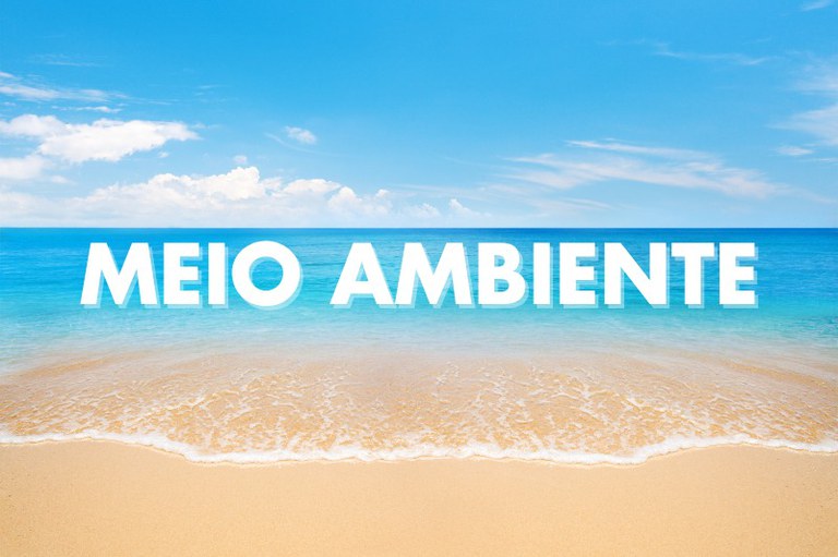 Capa de divulgação "Meio Ambiente"