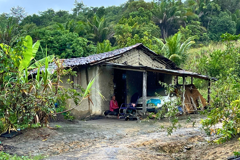 Registro fotográfico de uma das casas de taipa de Pedrinha, na aldeia Wassu Cocal, em Joaquim Gomes, zona da mata alagoana