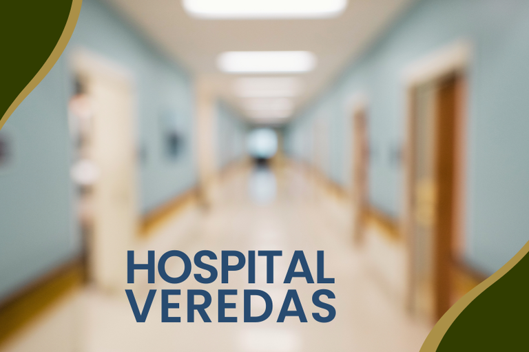 Arte de divulgação: Hospital borrado com o título "Hospital Veredas"