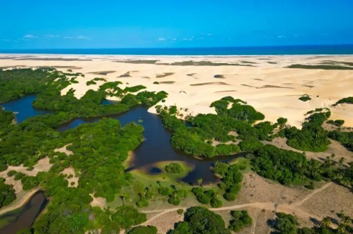 Vista aérea da APA Piaçabuçu - Mar ao fundo, dunas e manguezal na parte inferior da imagem