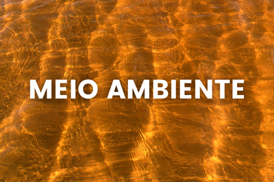 Arte com Meio Ambiente em destaque e o fundo da areia da praia sob a agua do mar no fundo da imagem