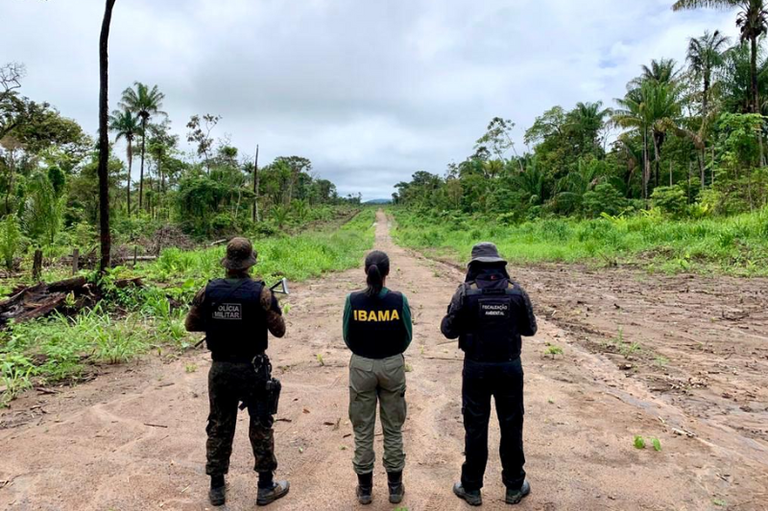 A foto mostra 3 agentes do Ibama de costas, durante uma operação. O nome do órgão aparece em camisetas usadas por eles