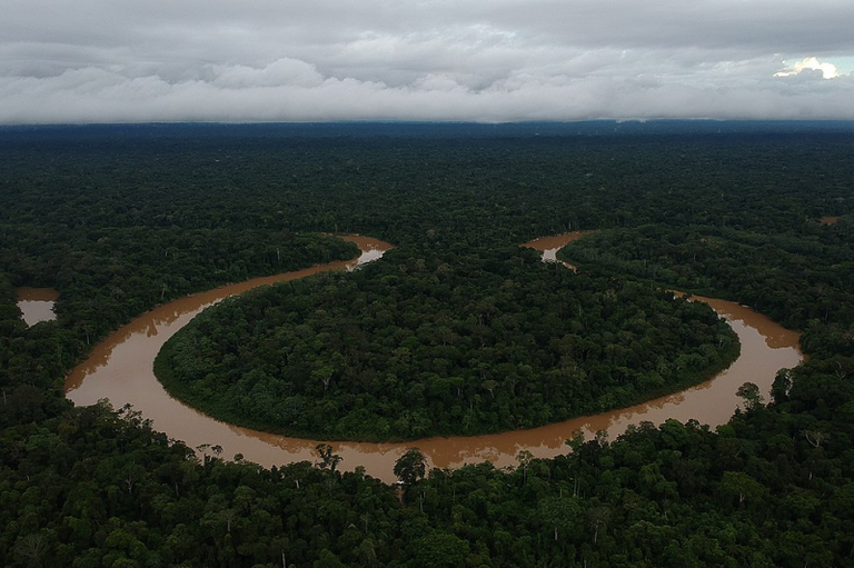Vista aérea de um rio barrento e sinuoso fazendo uma curva pronunciada em meio a uma densa floresta tropical, sob céu nublado.