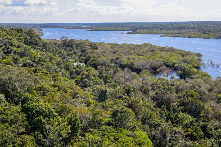Foto aérea da Amazônia mostra a flores e o rio