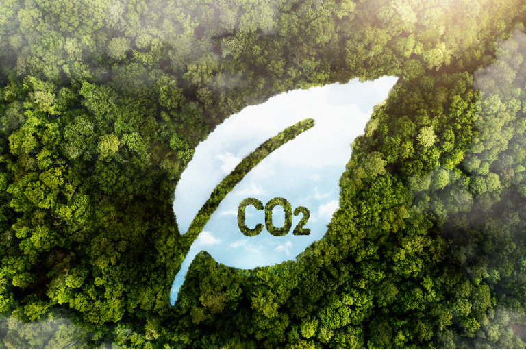 Foto mostra uma floresta vista de cima. Na imagem está escrito CO2 dentro de uma folha