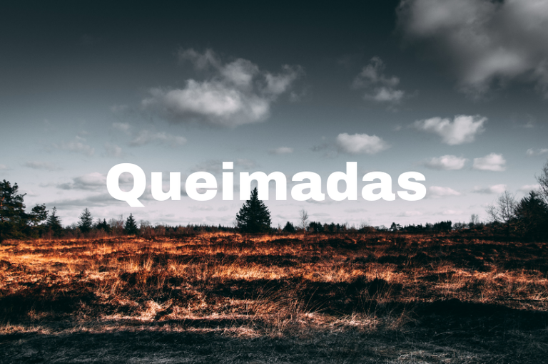 Foto de uma paisagem natural com vegetação rasteira e poucas árvores, sob um céu nublado, com a palavra "Queimadas" escrita em destaque no centro em letras brancas.