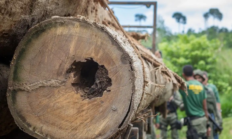 Recebida denúncia do MPF contra grupo por grilagem de terras e exploração ilegal de madeira no Amazonas