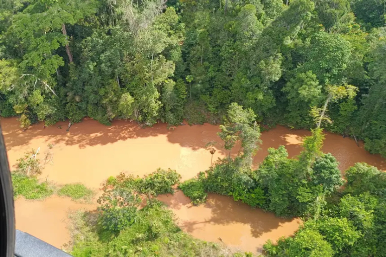 Foto aérea do leito de um rio com água marrom, cercado por floresta