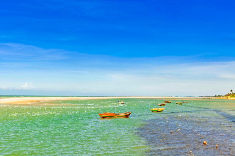 Foto mostra pessoas em um auditório olhando para o palestrante em um telão